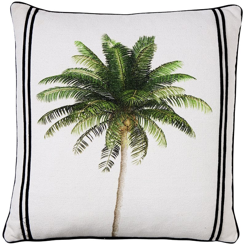 BAHAMA PALM