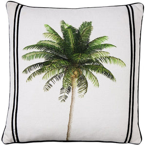 BAHAMA PALM
