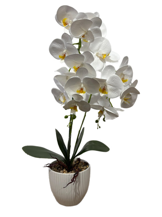 Potted Faux Orchid