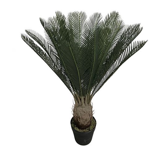 Potted Faux Cycad Plant